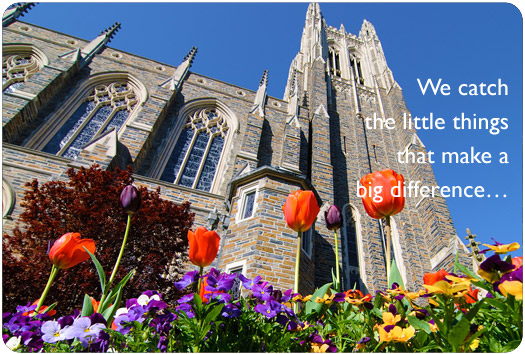 Slideshow Image 3